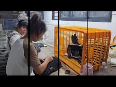 Fábrica de servicio de zapatos a medida